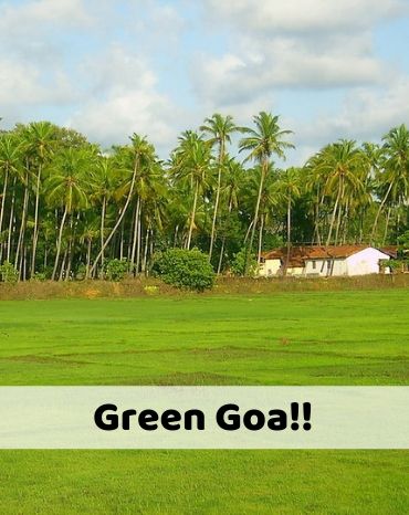 Green Goa!
