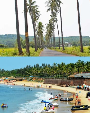 Should You Invest in an Apartment or Villa in Goa?